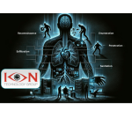 Anatomy of a Cyber Attack: Understanding Cyber Threat Actors by ION Technology Group