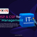 How MSPs and CSPs Remove the Burden of IT Management from Their Client