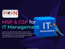 How MSPs and CSPs Remove the Burden of IT Management from Their Client